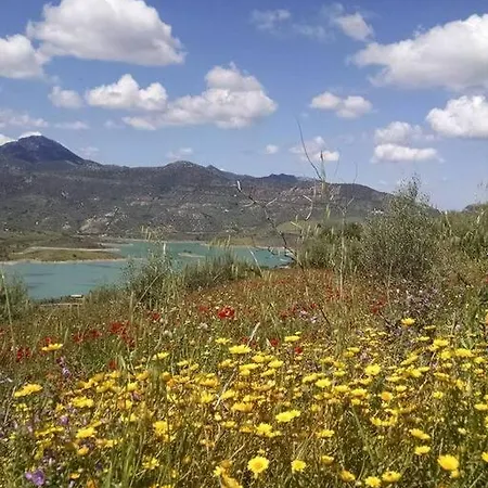 Casa De Flores - A Picture Perfect Location! * エル・ガストル