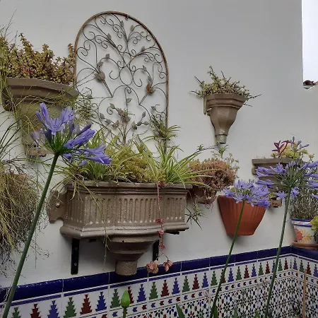 Casa De Flores - A Picture Perfect Location! El Gastor
